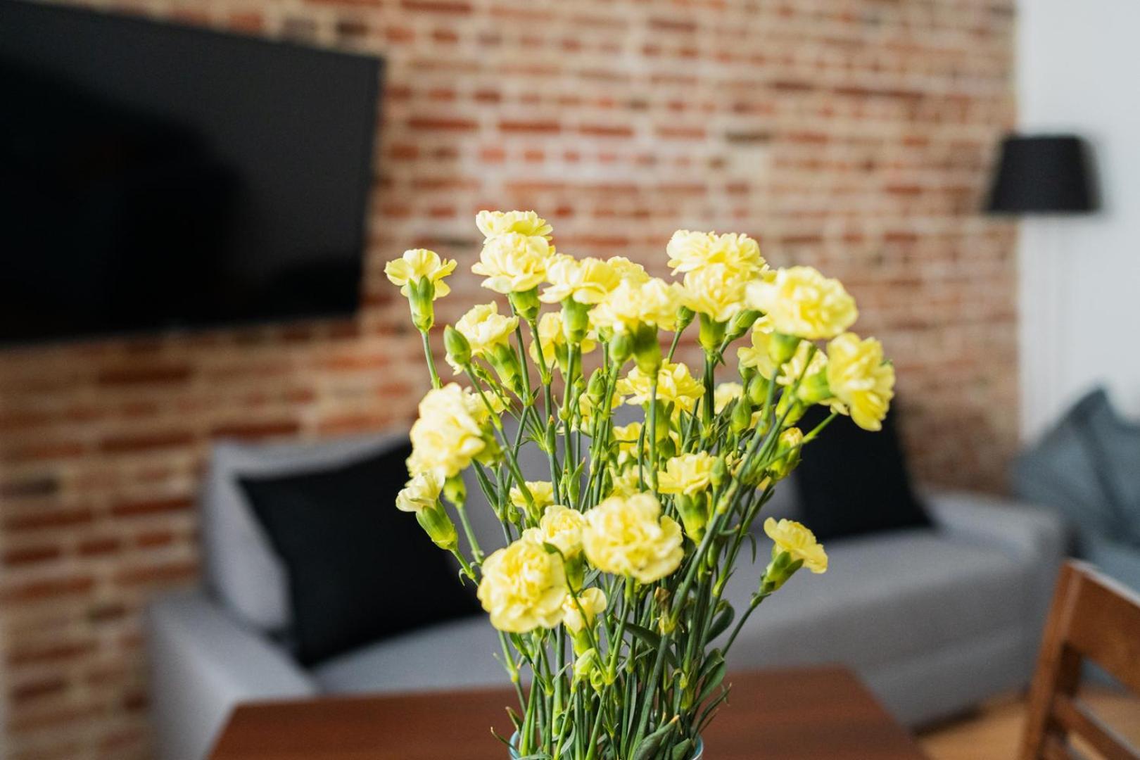 Big Apart - Nice Design - 3 Rooms - Wroclaw City Centre 외부 사진
